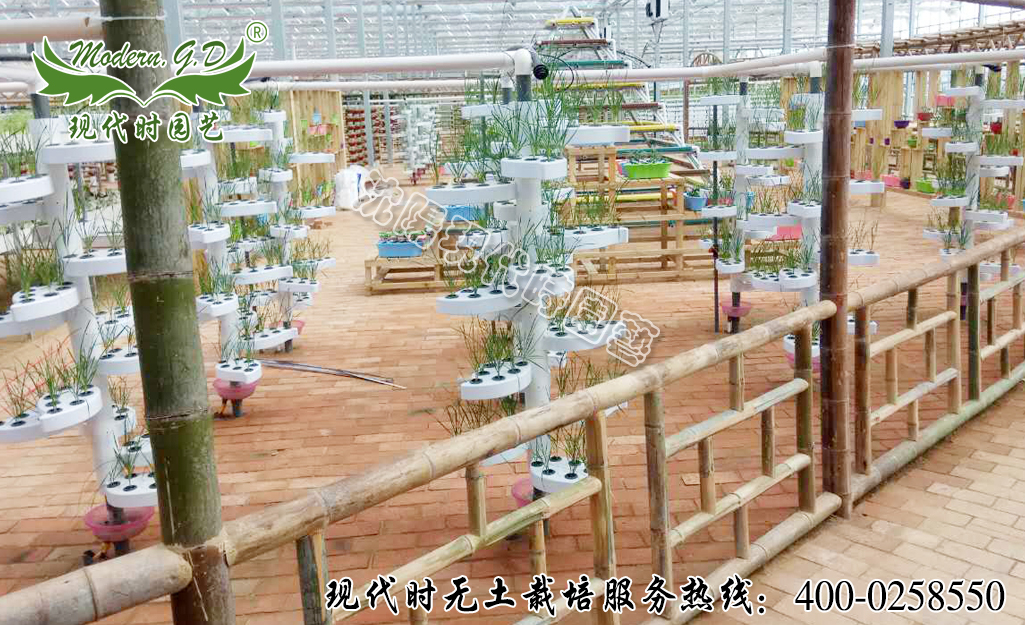 樹葉無土栽培案例