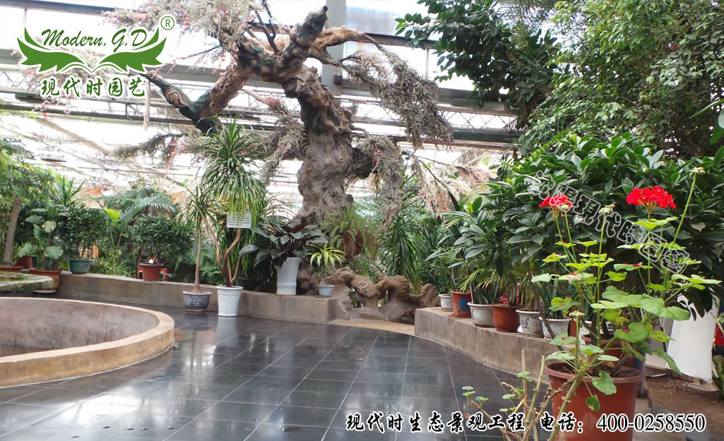 室內(nèi)景觀工程