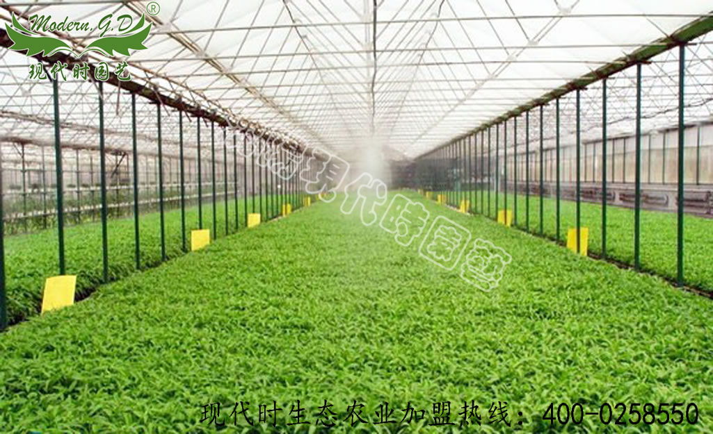 自動節(jié)水灌溉