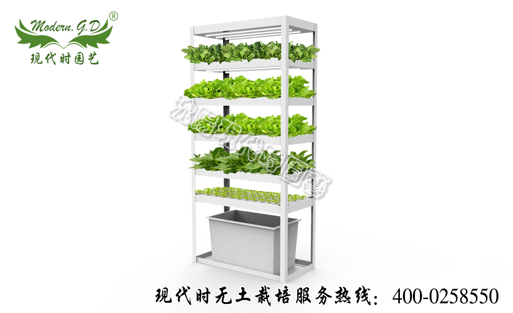 智能蔬菜種植機(jī)—普通版 型號:N-31