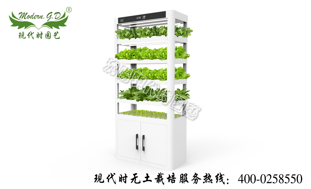智能蔬菜種植機(jī)—智能版 型號:N-30