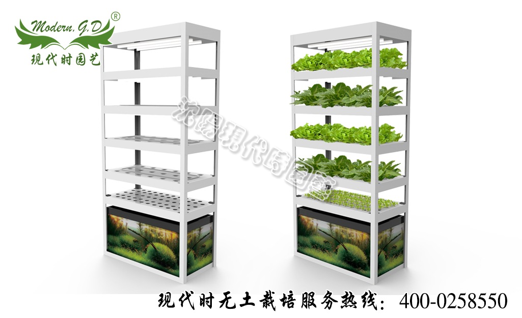 智能蔬菜種植機(jī)—魚菜共生 型號:N-31