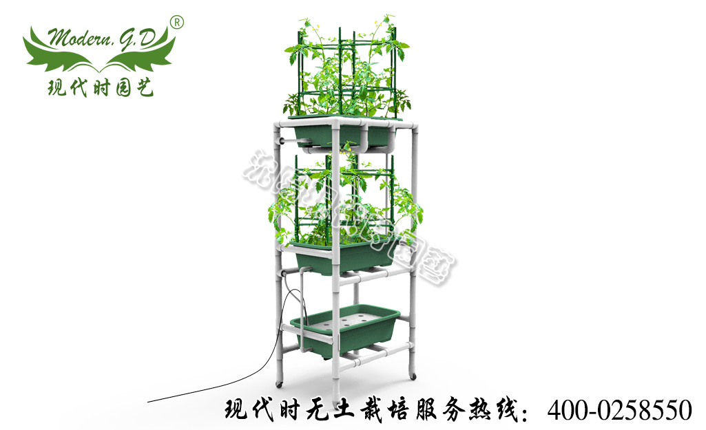 移動茄果種植機(jī) 型號:N-41
